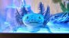 upload_2016-9-12_7-42-10.jpeg