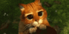 raw-2.gif