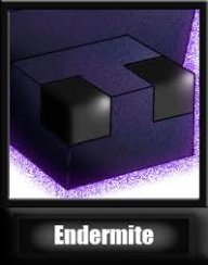 Endermite