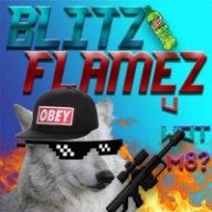 BlitzFlameZ