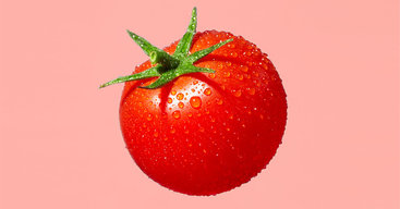 Sensei_Tomato