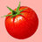 Sensei_Tomato